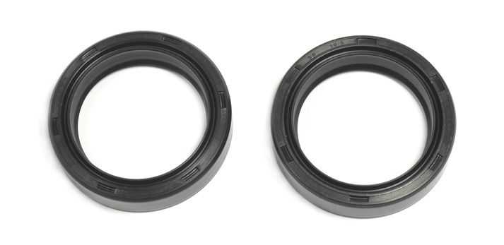Fork Seals - Athena - TALARIA FACTORY 38mm